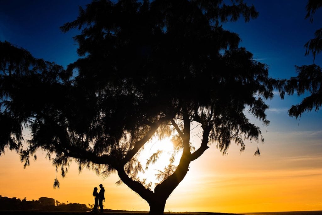 stylish ritz carlton kapalua wedding