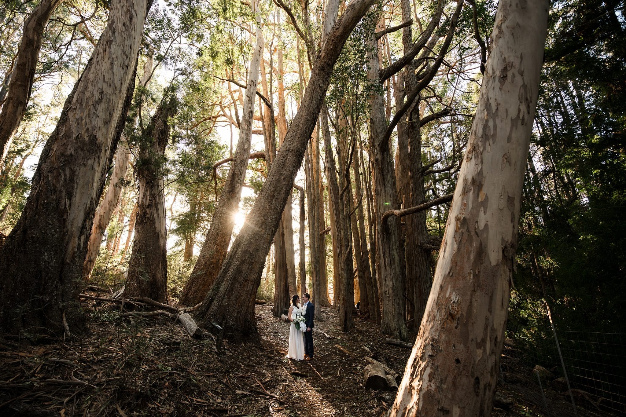 A wide shot of Lincoln and Cheryl embracing among the trees of Twin Falls