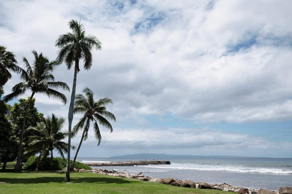 Indian-Wedding-in-Maui-_0001 - Ann Arbor Wedding Photographer Overlook of the ocean view from this Maui wedding venue. Palm trees to the side, the ocean stretching, and mountains in the background.