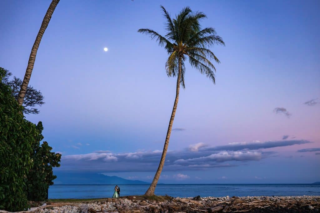 Indian-Wedding-in-Maui-_0044 - Ann Arbor Wedding Photographer Formally dressed couple standing next to a palm tree in front of the ocean as the sky turns purple.
