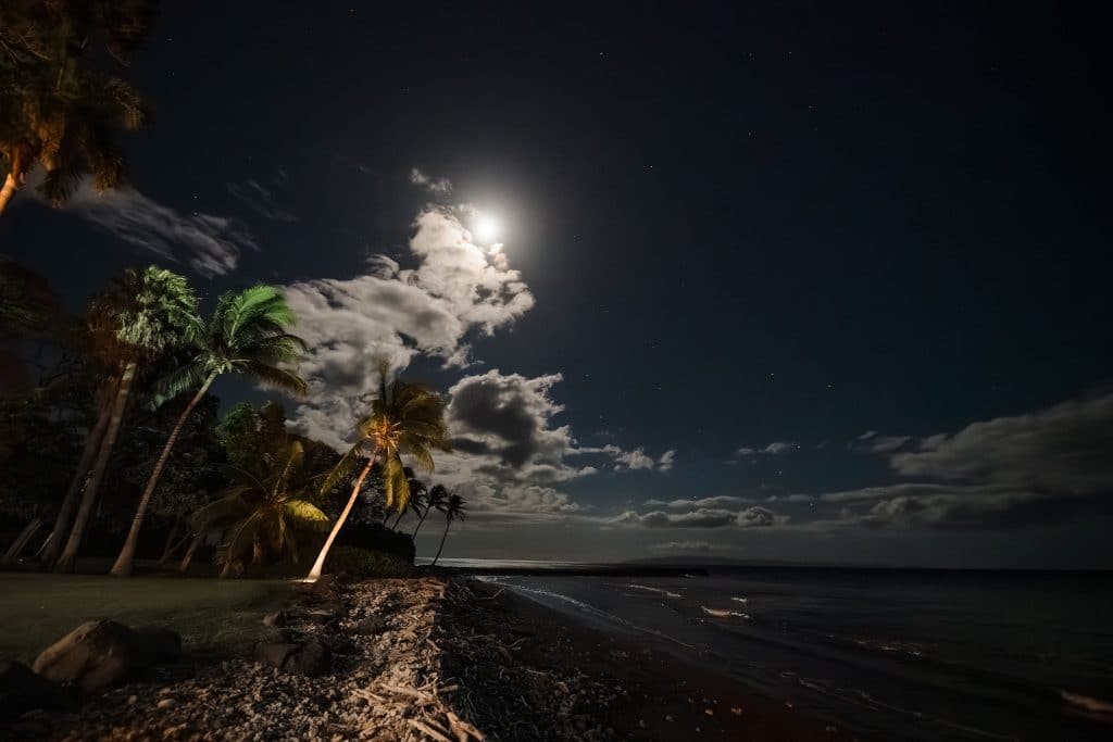 Indian-Wedding-in-Maui-_0052 - Ann Arbor Wedding Photographer Moonlit tropical beach at night with palm trees on the left, a rocky shore in the foreground, and a bright moon peeking through scattered clouds over a calm sea.